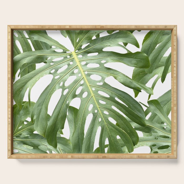 Vibrant tropical foliage on white Serving Tray Gallery Image 1