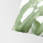 Vibrant tropical foliage on white Pillow Sham Gallery Image 4