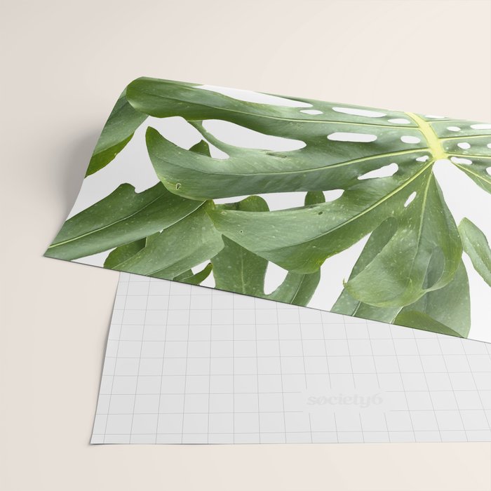 Vibrant tropical foliage on white Wrapping Paper Gallery Image 2