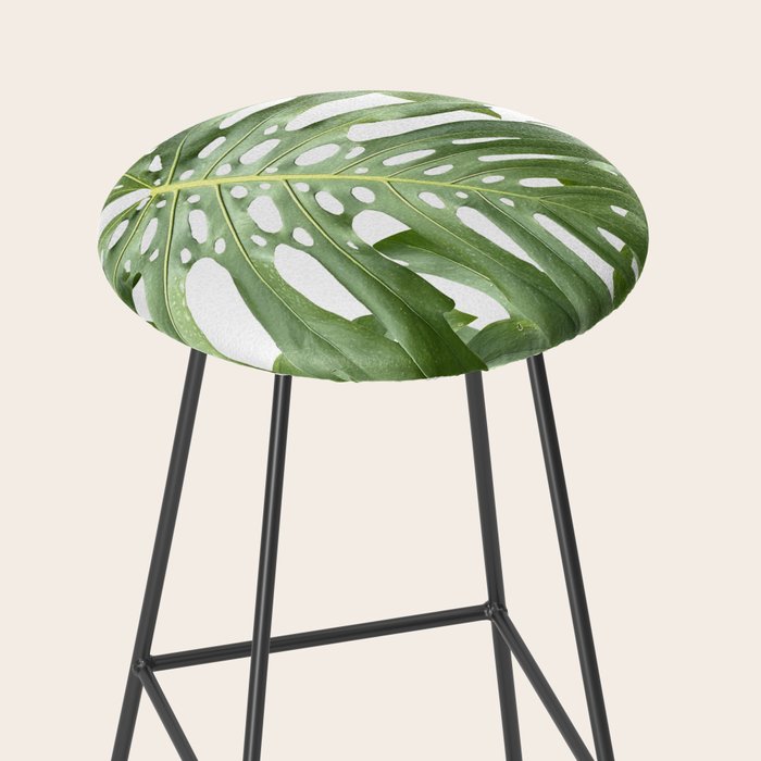 Vibrant tropical foliage on white Stool Gallery Image 2