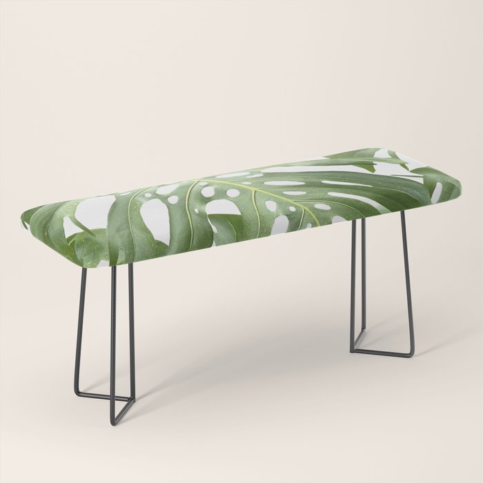 Vibrant tropical foliage on white Bench Gallery Image 1