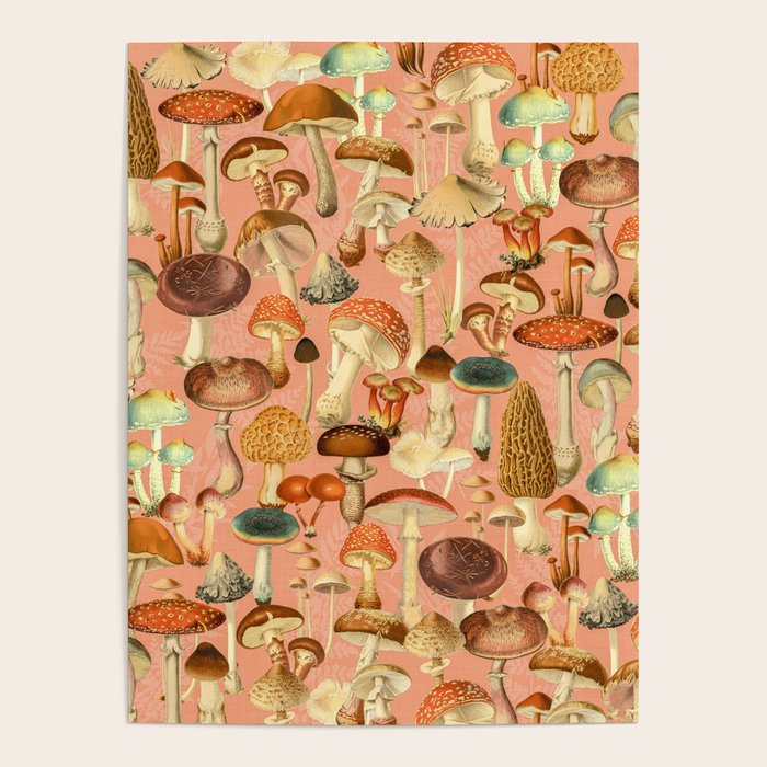 Mushroom Forest Poster Gallery Image 4