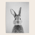Rabbit - Black & White Poster Gallery Image 4