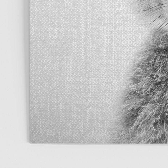 Rabbit - Black & White Poster Gallery Image 3