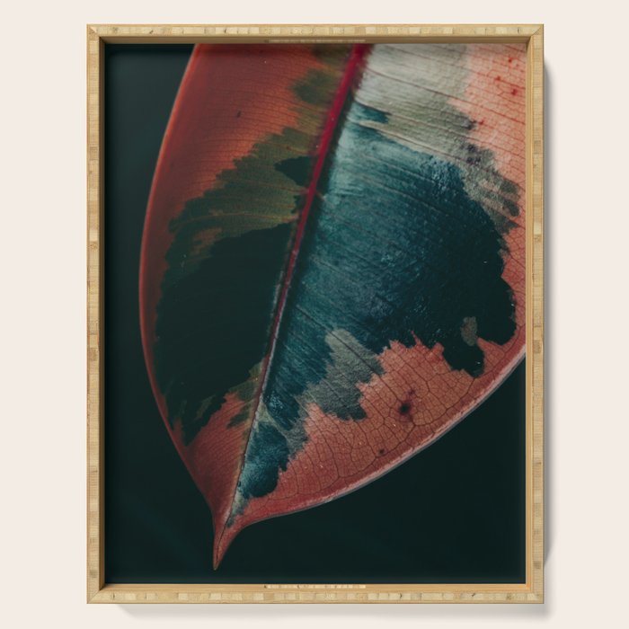 Ficus Leaf Study Serving Tray Gallery Image 1