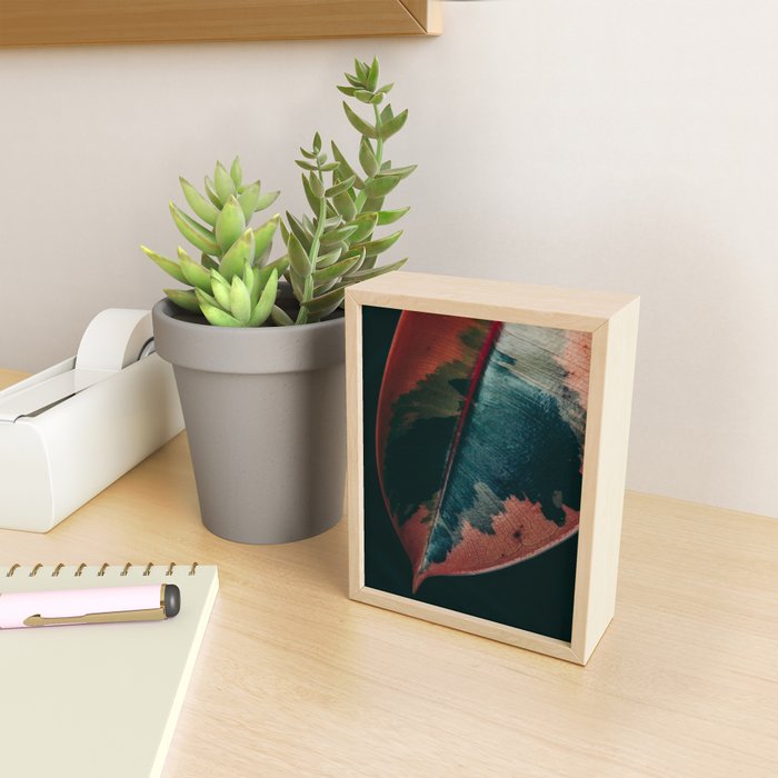 Ficus Leaf Study Mini Art Print Gallery Image 2