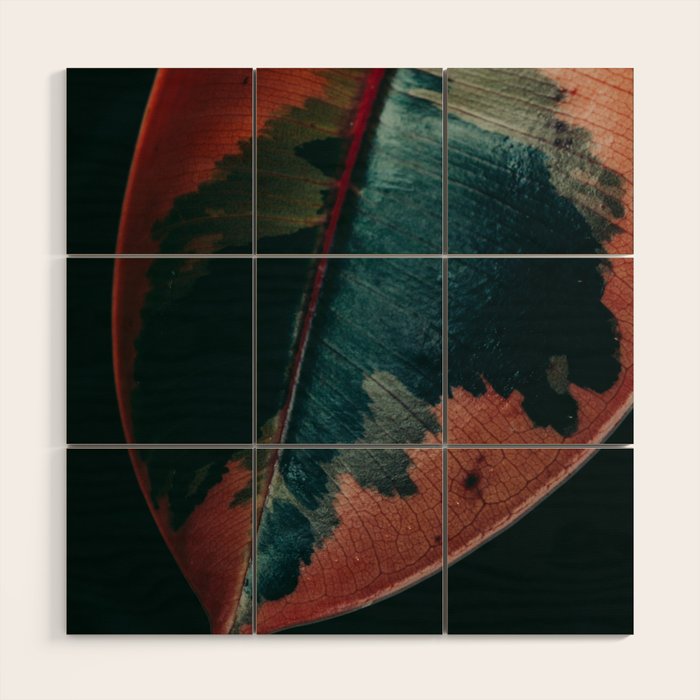Ficus Leaf Study Wood Wall Art Gallery Image 1