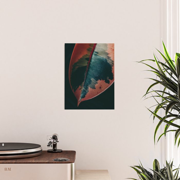 Ficus Leaf Study Poster Gallery Image 2