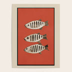 Abstract Fish Study I Poster Gallery Image 4