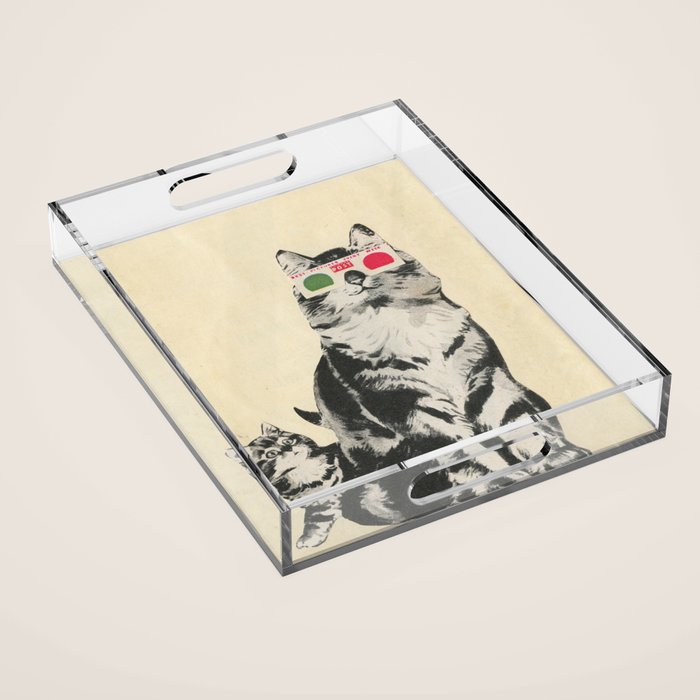 3D Glasses Acrylic Tray Gallery Image 1