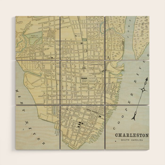 Vintage Map of Charleston SC (1901) Wood Wall Art Gallery Image 1