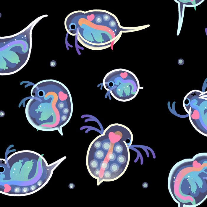 Daphnia Coffee Mug Gallery Image 2