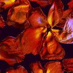 Grandma's Red Flowers Coffee Mug Gallery Image 2
