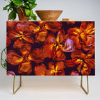 Grandma's Red Flowers Credenza Gallery Image 1