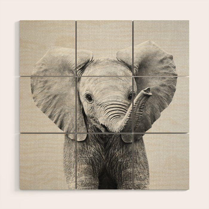Baby Elephant - Black & White Wood Wall Art Gallery Image 1