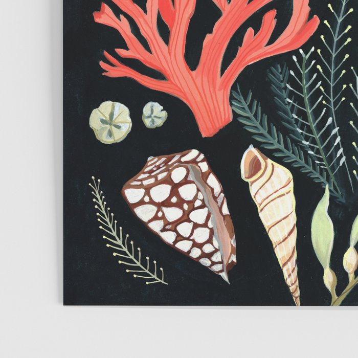 Whale shark Poster Gallery Image 3