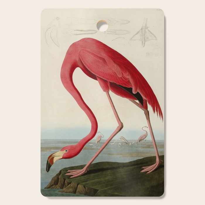 American Flamingo by John James Audubon, Vintage Illustration Cutting Board Gallery Image 1
