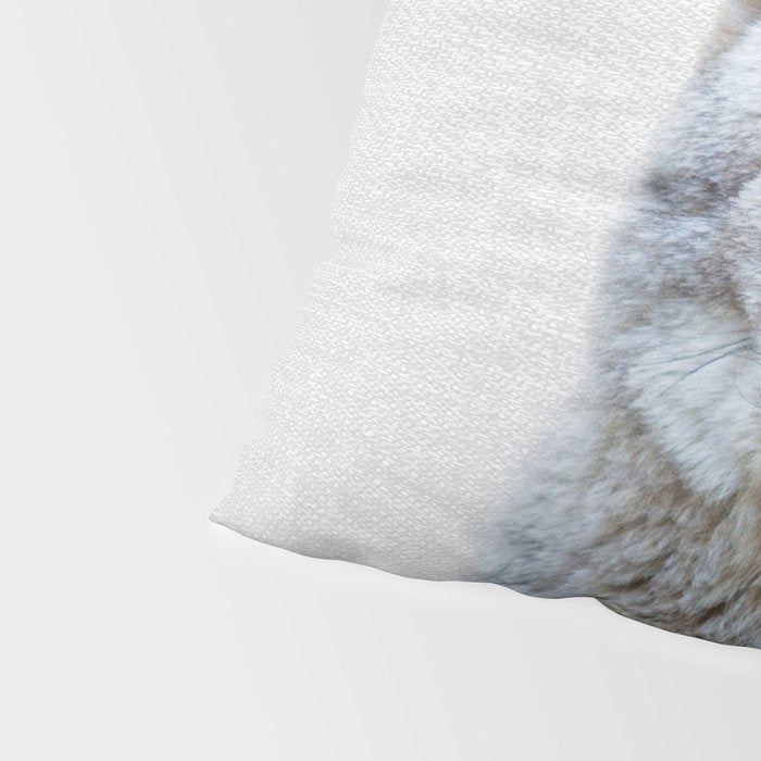 Coyote - Colorful Pillow Sham Gallery Image 4