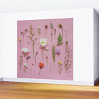 Wild Flowers Wall Mural Gallery Image 2