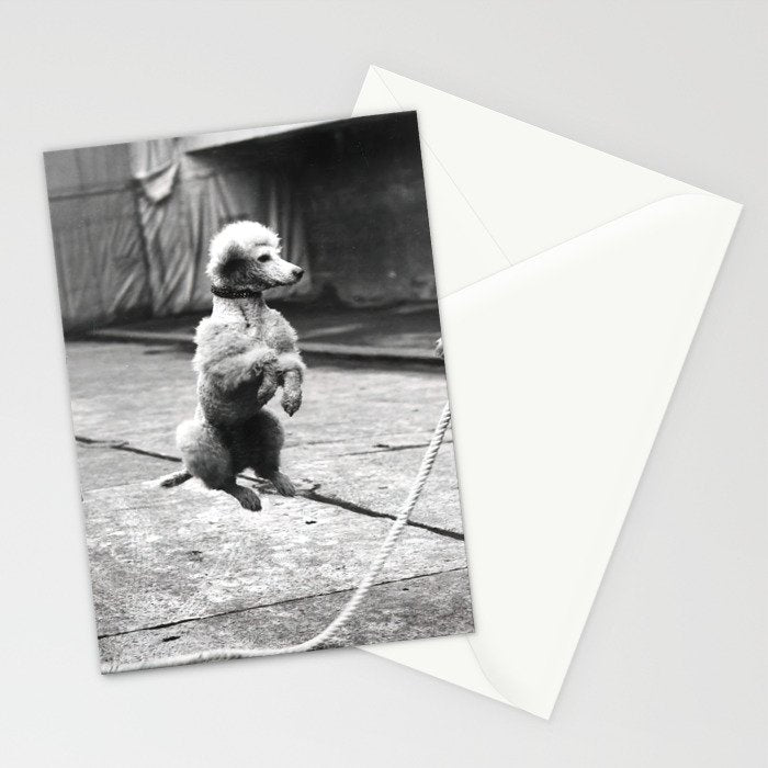 Poodle Jumping Rope, Black and White, Vintage Art Stationery Card Gallery Image 2