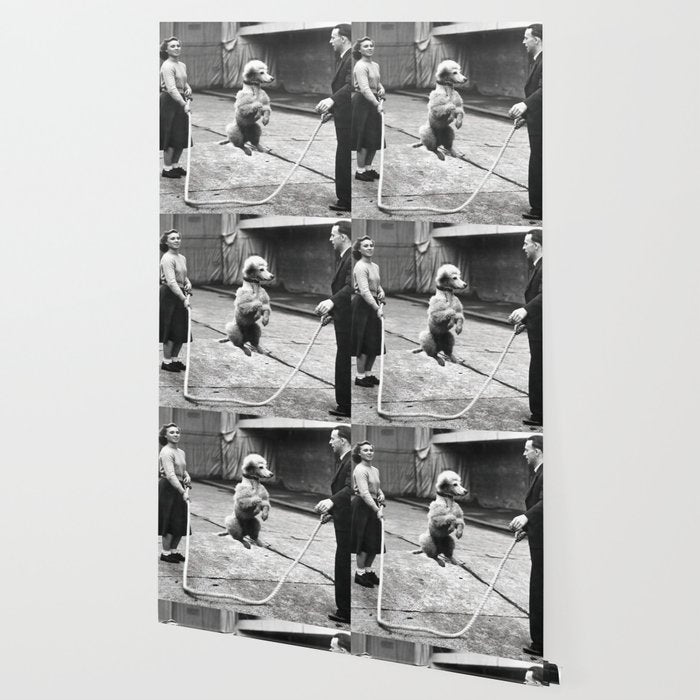 Poodle Jumping Rope, Black and White, Vintage Art Wallpaper Gallery Image 2
