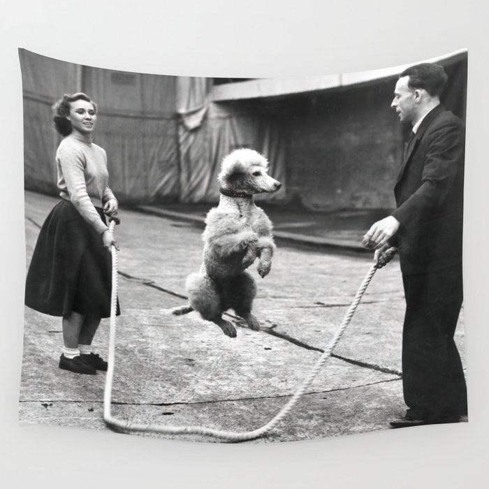 Poodle Jumping Rope, Black and White, Vintage Art Wall Tapestry Gallery Image 1