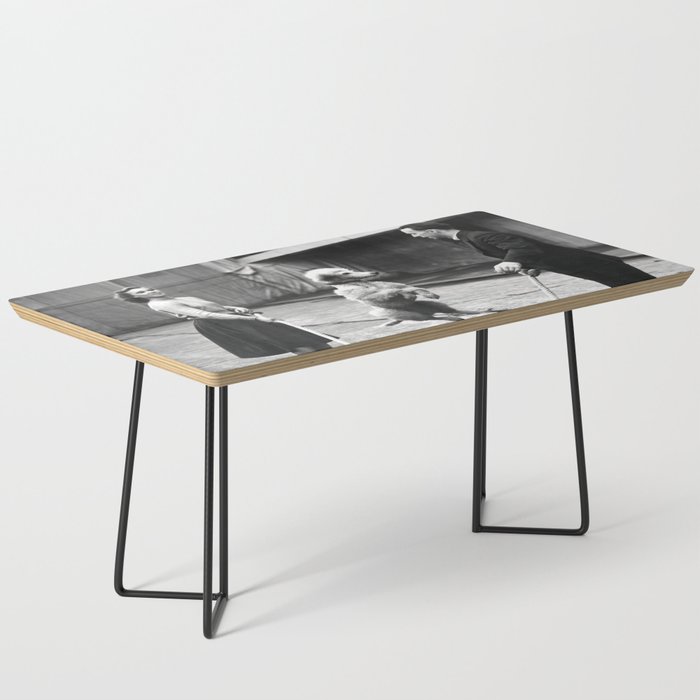 Poodle Jumping Rope, Black and White, Vintage Art Coffee Table Gallery Image 1