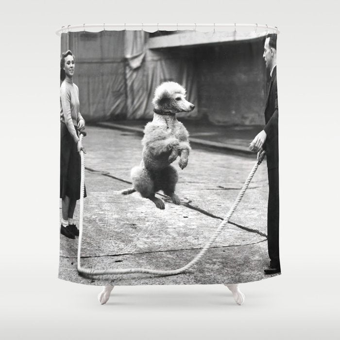 Poodle Jumping Rope, Black and White, Vintage Art Shower Curtain Gallery Image 1