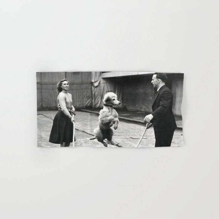 Poodle Jumping Rope, Black and White, Vintage Art Bath Towel Gallery Image 1