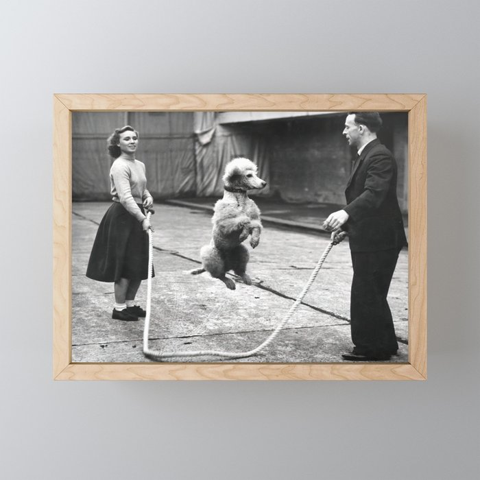 Poodle Jumping Rope, Black and White, Vintage Art Mini Art Print Gallery Image 1