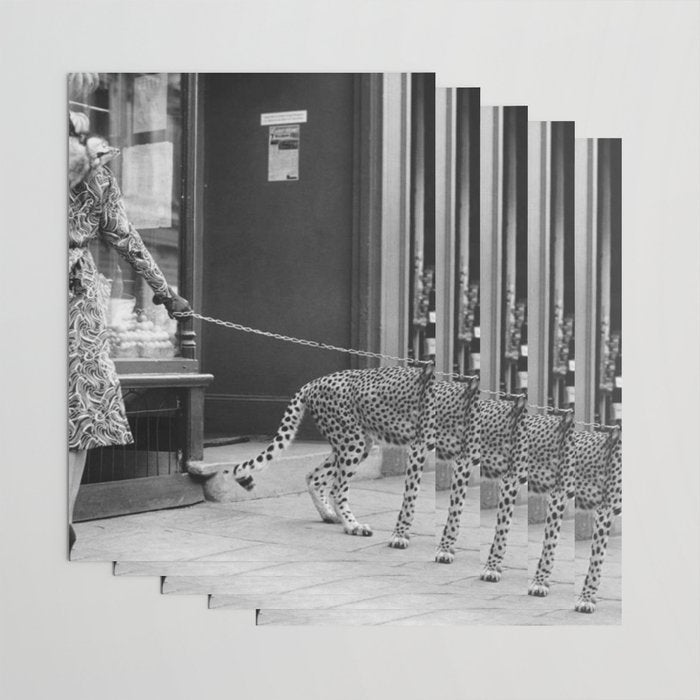 Woman with Cheetah, Phyllis Gordon, with her pet Kenyan cheetah, Paris, France black and white photo Wrapping Paper Gallery Image 3