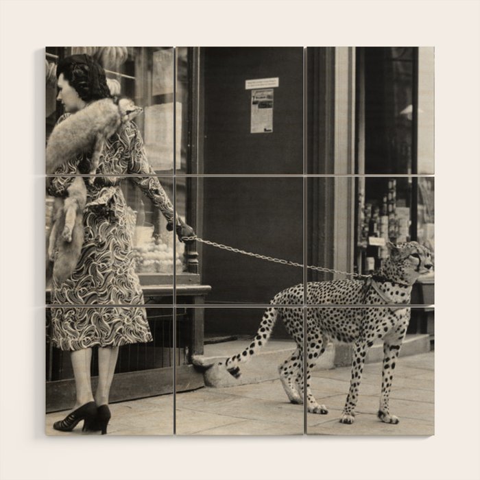 Woman with Cheetah, Phyllis Gordon, with her pet Kenyan cheetah, Paris, France black and white photo Wood Wall Art Gallery Image 1