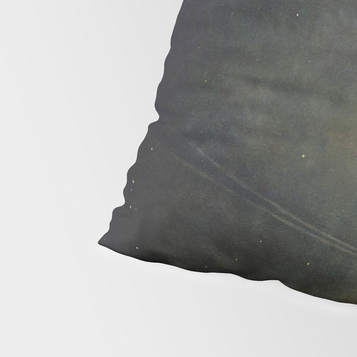 Smyth - The Great Comet of 1843 Sunset Magical Stars Pillow Sham Gallery Image 4