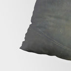 Smyth - The Great Comet of 1843 Sunset Magical Stars Pillow Sham Gallery Image 4