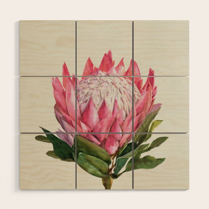 Protea Wood Wall Art Gallery Image 1