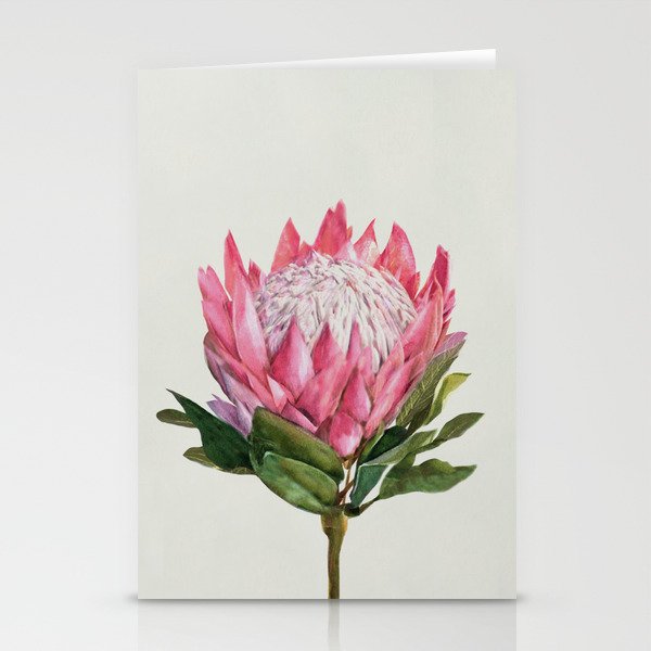 Protea Stationery Card Gallery Image 2