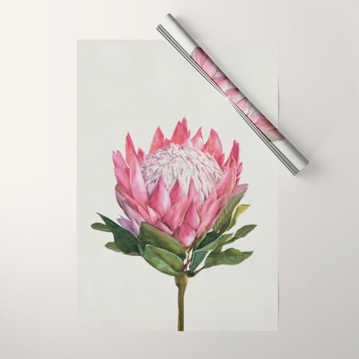 Protea Wrapping Paper Gallery Image 1