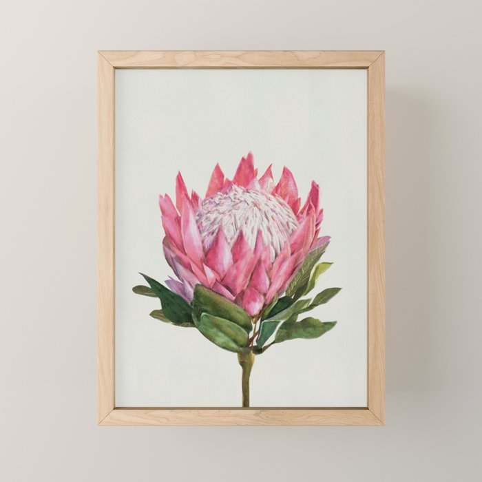 Protea Mini Art Print Gallery Image 1