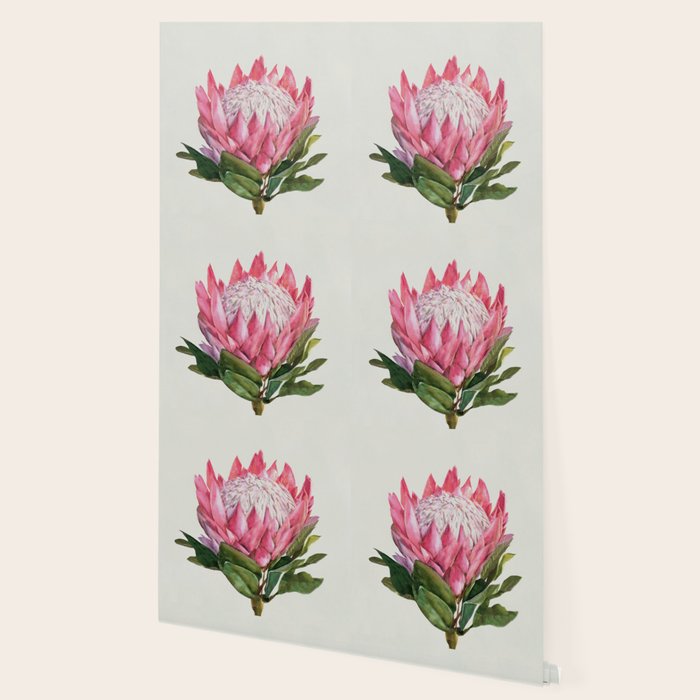 Protea Wallpaper Gallery Image 2