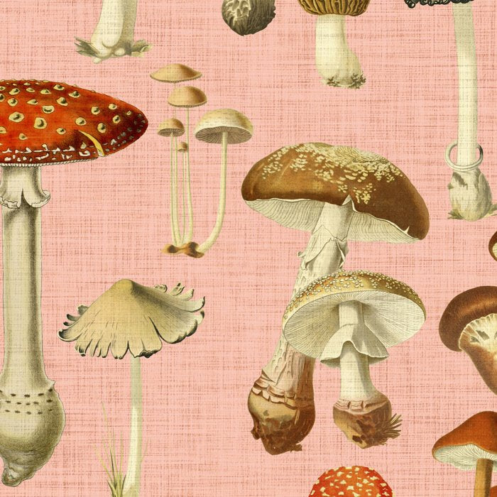 Mushrooms pink Coffee Mug Gallery Image 2