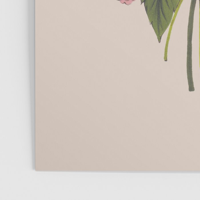 Yellow Flower bunch Poster Gallery Image 3