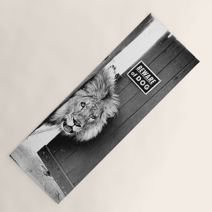 Beware of Dog black and white photograph of attack lion humorous black and white photography Yoga Mat Gallery Image 1