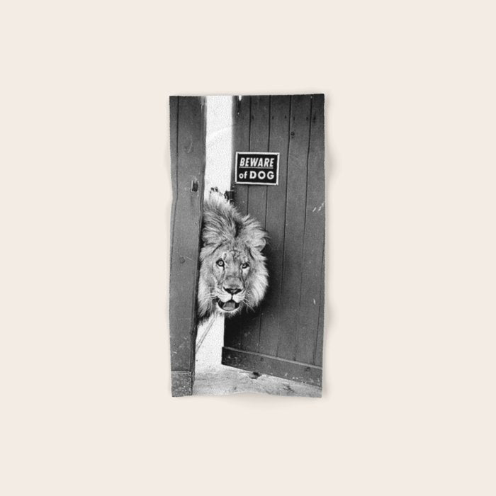 Beware of Dog black and white photograph of attack lion humorous black and white photography Bath Towel Gallery Image 1