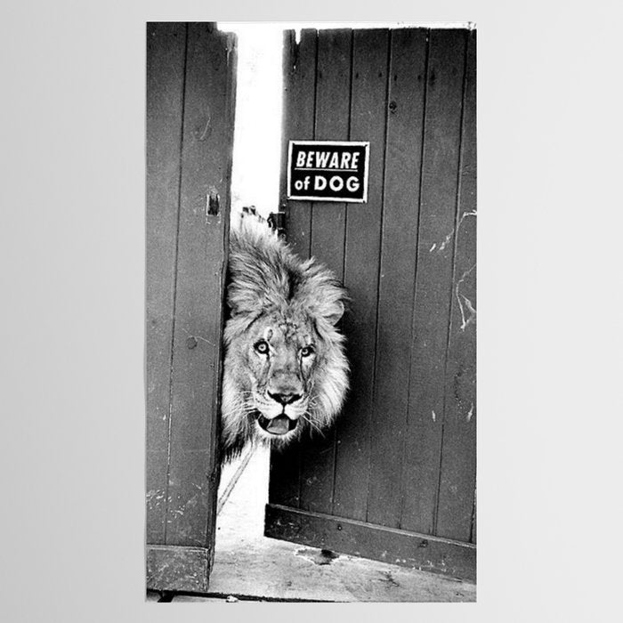 Beware of Dog black and white photograph of attack lion humorous black and white photography Tablecloth Gallery Image 2