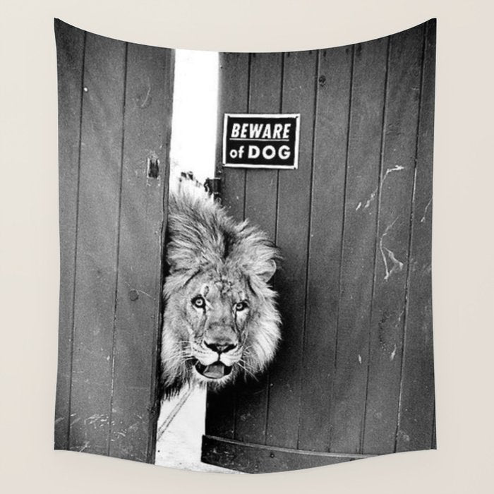 Beware of Dog black and white photograph of attack lion humorous black and white photography Wall Tapestry Gallery Image 4