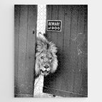 Beware of Dog black and white photograph of attack lion humorous black and white photography Jigsaw Puzzle Gallery Image 1