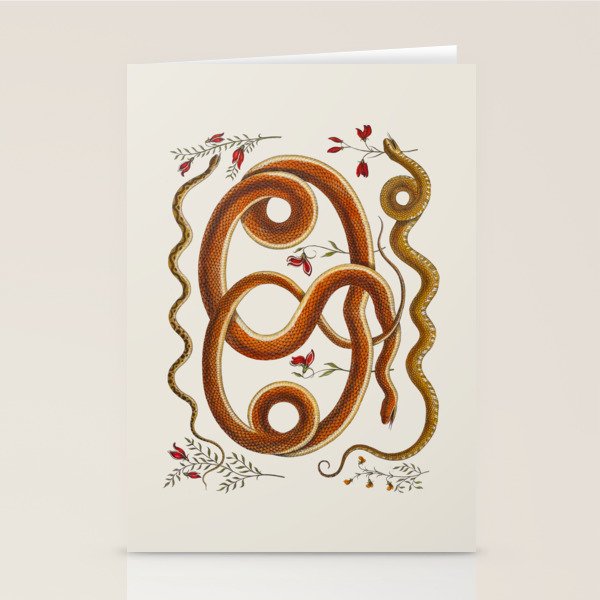 Albertus Seba Snakes Flowers Engraving ii Stationery Card Gallery Image 2