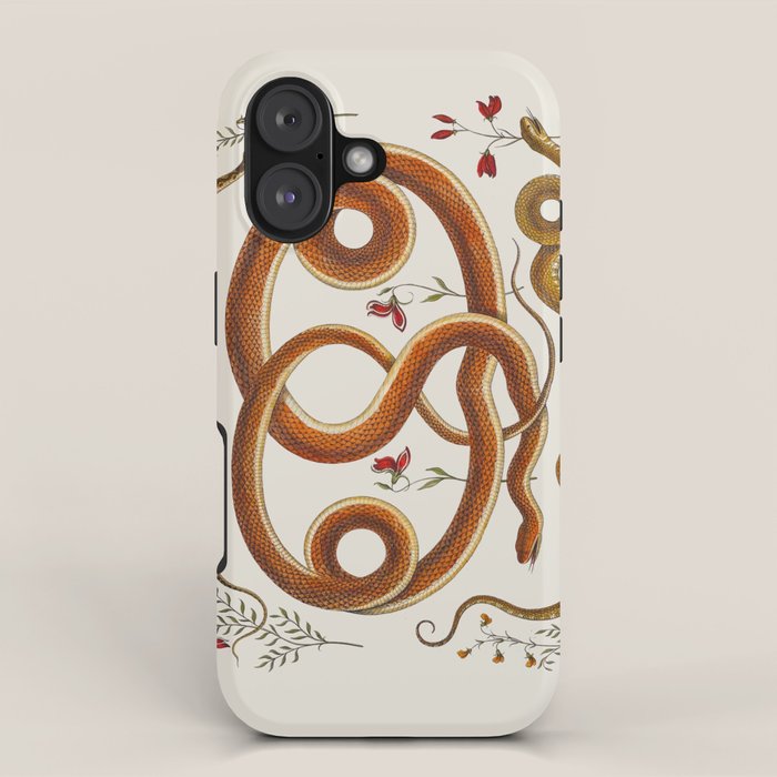 Albertus Seba Snakes Flowers Engraving ii iPhone Case Gallery Image 1