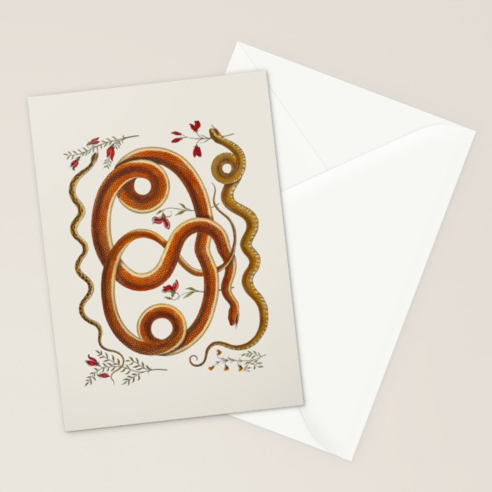 Albertus Seba Snakes Flowers Engraving ii Stationery Card Gallery Image 2