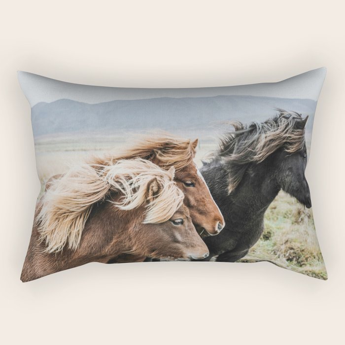 Thingeyrar, Iceland Rectangular Pillow Gallery Image 2